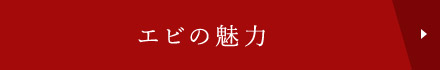 エビの魅力